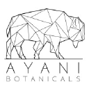 ayanibotanicals.com