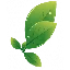 Ayurvedaproducts