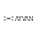 AA  Avatar