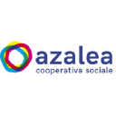 azalea.coop