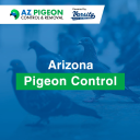 AZ Pigeon Control & Removal