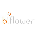 b-flower on Elioplus