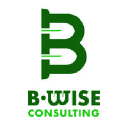 b-wiseconsulting.com