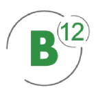 B12 Consulting Llc logo