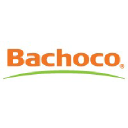 bachoco.com.mx