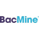bacmine.com
