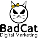 badcatdigital.com