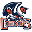 bakersfieldcondors.com