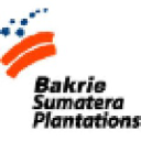 bakriesumatera.com