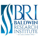 baldwinresearch.com