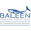 baleenprocesssolutions.com