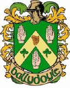 ballydoylepub.com