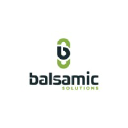 balsamicsolutions.com