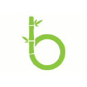 bambootreemedia.com