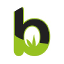 bambulifestyle.com