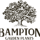 bamptongardenplants.co.uk