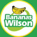 bananaswilson.com.br