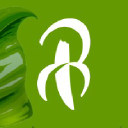 bananza.net