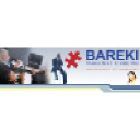 Bareki Consulting