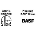 basf-ypc.com.cn