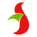 Bauer GmbH & Co. KG logo