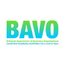 bavo.org.uk