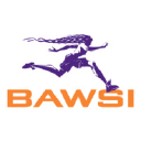 Bay Area Women's Sports Initiative