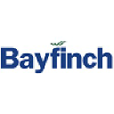 bayfinch.co.uk