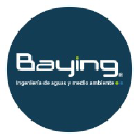 bayingsas.com