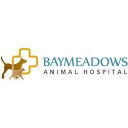 baymeadowsanimalhospital.com