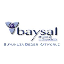 baysalaritma.com