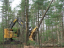 Bay State Forestry Service