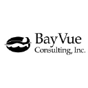 BayVue Consulting, Inc.
