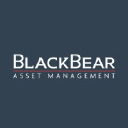 Black Bear Asset Management LLC