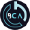 Business Computer Analysts logo