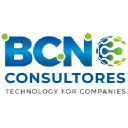 BCN Consultores