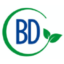 bdconsulting.services