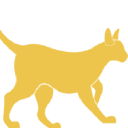 Cat Socialization Volunteer Opportunity Image