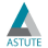 Astute Business Solutions logo