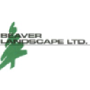 Beaver Landscape