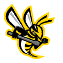 Bee Stinger Image