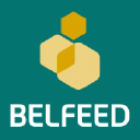 belfeed.com