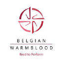 belgian-warmblood.com