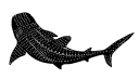 Logo for bellaterrashop.com