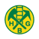 Avatar logo