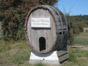 Belle Pente Vineyard