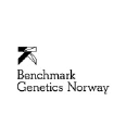 benchmarkgeneticschile.com