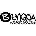 bengoa.info