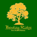 Bentley Ridge Tree Farm & Nursery