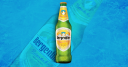Bergenbier
